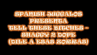 Tell These Bitches - Shaggy 2 Dope Sub Español