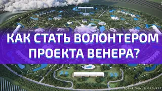 Как стать волонтёром Проекта Венера (инструкция)