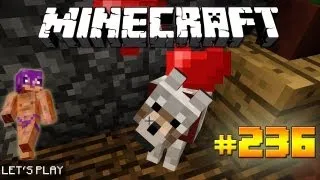 Minecraft - Let's Play - 236: Jetzt neu mit Minecraft 1.6! [DEUTSCH] [1080p]