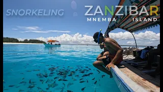 Snorkeling at Mnemba Island, Zanzibar | TANZANIA