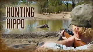 How to Hunt Hippo | 2