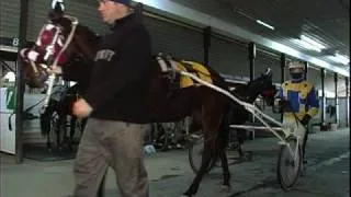 Flamboro Downs Horse Racing