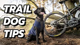 MTB Trail Dog Tips 101