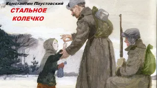 СТАЛЬНОЕ КОЛЕЧКО - Рассказ - Константин Паустовский