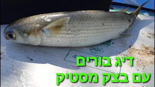 דיג בורים עם בוס,בצק מסטיק | fishing with float | mullet fish