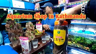 Aquarium Shop In Kathmandu