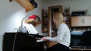 Nadherna laska (cover)