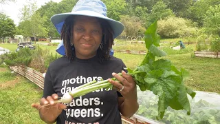 The BRIGHT SIDE Of Gardening - When Crops Are Growing Beautifully