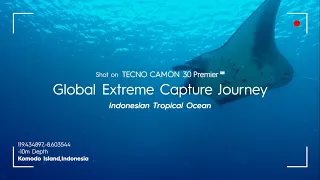 TECNO Global Extreme Capture Journey | Indonesian Tropical Ocean