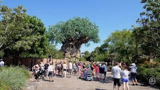 Fun Trip to Disney's Animal Kingdom To Ride Na'vi River Journey! FULL EXPERIENCE Walt Disney World