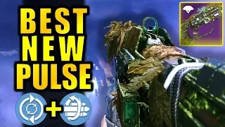 It took 4 Days of Grinding to get this God Roll... | Destiny 2: Shadowkeep