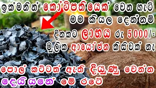 පවතින ආර්ථික අර්බුදයත් එක්ක පොල් කටු අගුරු නිශ්පාදනය කර දියුණු වෙමු Coconut shell charcoal Business