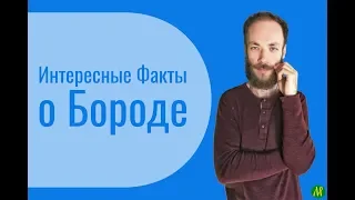 Интересные факты о бороде