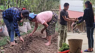 Harvesting Wild Vegetables - to sell - Giang and Ba planted their first seeds together