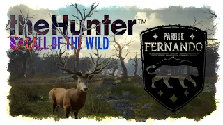 theHunter Call of the Wild™ | Парк Фернандо.  | прохождение. 13