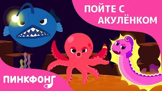 Опасные морские друзья | Пойте с Акулёнком | Пинкфонг Песни для Детей