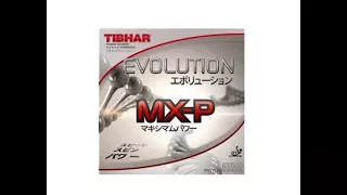 Tibhar evolution MX-P Table Tennis PingPong Rubber unboxing and review