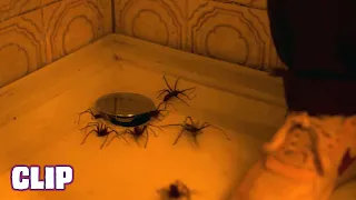 INFESTED (Vermin)(2024) CLIP "Drain Infestation" (HD) FRENCH SPIDER HORROR