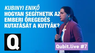 A kutya kiváló modellállat az emberi öregedés leírására | Kubinyi Enikő | Qubit.live #7