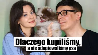 Szczerze dlaczego kupiliśmy, a nie adoptowaliśmy psa - P🍍 Podcast