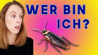 Auf der Suche nach der Identität...