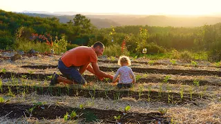 Starting New No Dig Gardens From Scratch