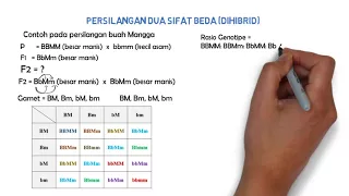 Tips/ Tutorial Genetika Kasus Dihibrid (metode tabel)