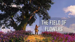 The Field of Flowers from Aloy's Dream - Horizon Forbidden West Out-of-Bounds Exploring! (PC)