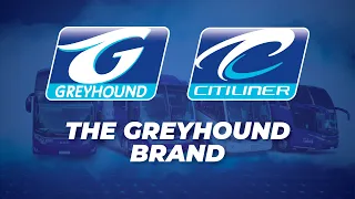 The Greyhound Auction - 15-16 September 2021