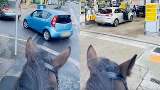 Guy On Horse Chants To People Queueing For Petrol