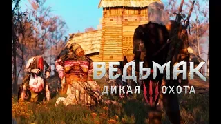 ⚔️ Ведьмак 3 ➤ Прохождение ➤ 7 выпуск ➤ Хозяйки леса. Шепчущий холм.