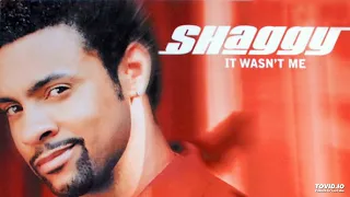 Shaggy Feat. Ricardo "Rikrok" Ducent - It Wasn't Me (Punch Mix)