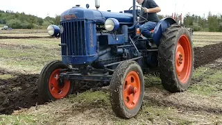 Fordson Major Working Hard in The Field | Ploughing w/ 2-Furrow Skjold Plough | Danish Agriculture