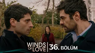 Rüzgarlı Tepe 36. Bölüm | Winds of Love Episode 36