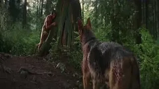 Bad moon 1996 - best werewolf movie