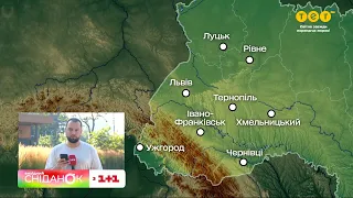 ☀️ Спека повернулась! Прогноз погоди на 6 серпня