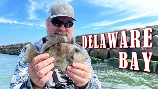 Delaware Bay Fishing (Outer Wall)