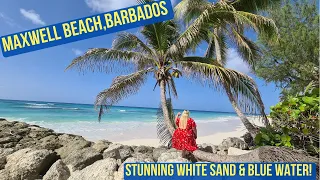 Barbados Beaches - Maxwell Beach! Stunning white sand & blue water!