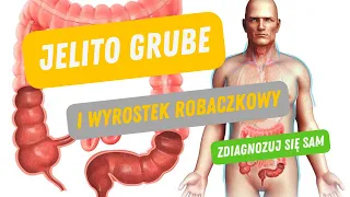 Jelito grube i wyrostek robaczkowy w pigułce. Zdiagnozuj się sam.