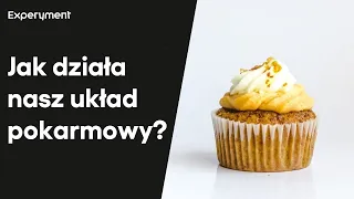 Układ pokarmowy. Jak trawimy i wydalamy? | ZDALNY EXPERYMENT #145