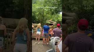 Day at the Atlanta Zoo