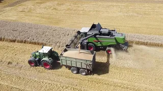 Fendt 6275 L Mähdrescher am Weizen dreschen 2020 / Drohne DJI Mavic Mini Wheat Harvest / Weizenernte