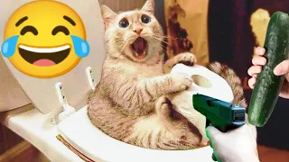 Try Not To Laugh 🤣Funny Cat And Dog Videos 2023 🐈🐕 Part 26