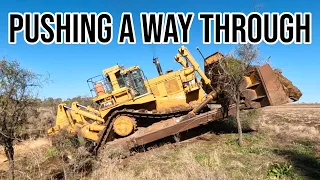 D11 Makes its Own Crossing! | Big Bulldozer