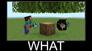 Compilation Maxwell The Cat part 6 - wait what meme in Minecraft