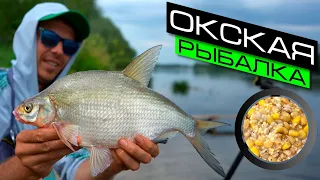 ФИДЕРНАЯ ЛОВЛЯ НА РЕКЕ / РЫБАЛКА НА ФИДЕР / FROS FISHING