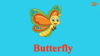 Insects video | Insects for Kids | Bugs for Kids | Learn English for kids | Kids vocabulary