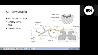 "An Approach to Ataxia"-Lecture