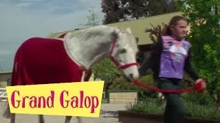 Grand Galop 113 - Quand l'amour s'en mêle | HD | Épisode Complet