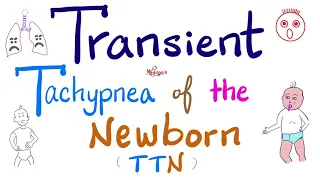 Transient Tachypnea of the Newborn (TTN) | Pediatrics | 5-Minute Review